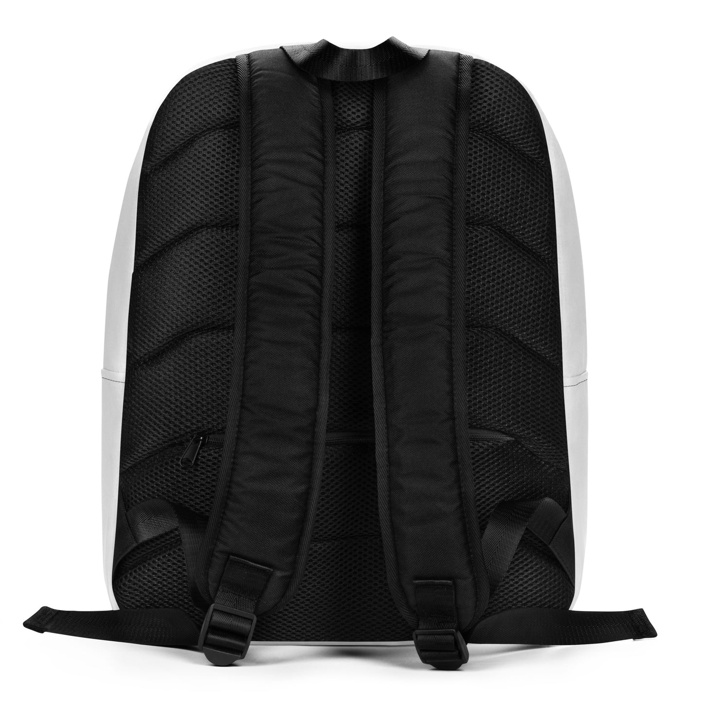 AGIS Backpack